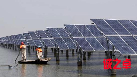 ▲江苏省连云港一座池塘内的太阳能电池板（路透社）