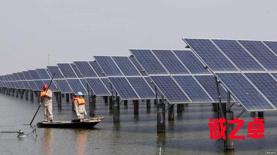 ▲江苏省连云港一座池塘内的太阳能电池板(路透社)