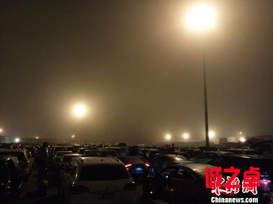 2月24日24时许，海口秀英港，大批车辆在港内待渡。　尹海明　摄